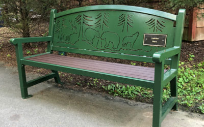 Teton Trek Benches