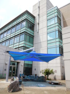 Shade Sail at Memphis Library
